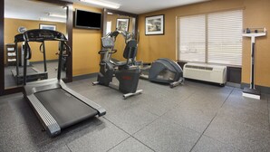 A gym with treadmills, elliptical machines, and a mirrored wall.