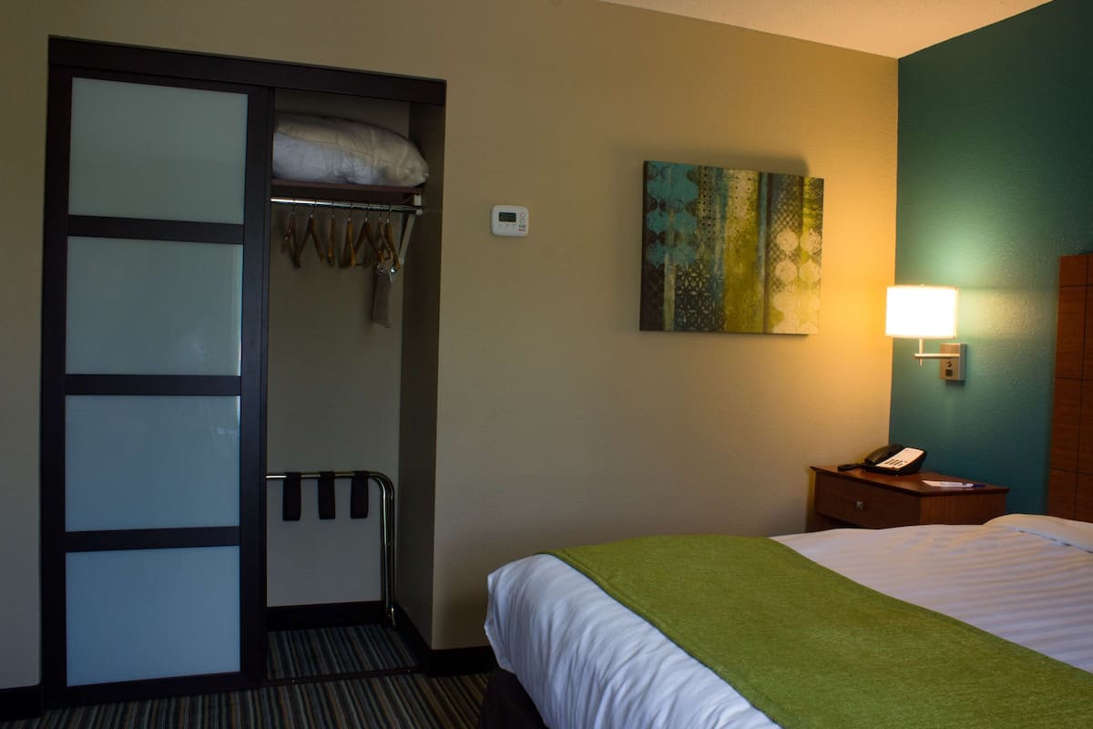 Una habitación de hotel con una cama, una mesita de noche con lámpara, un cuadro en la pared y un armario con puerta corredera.
