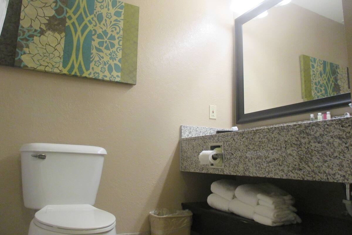 combined shower/bathtub, hair dryer, towels