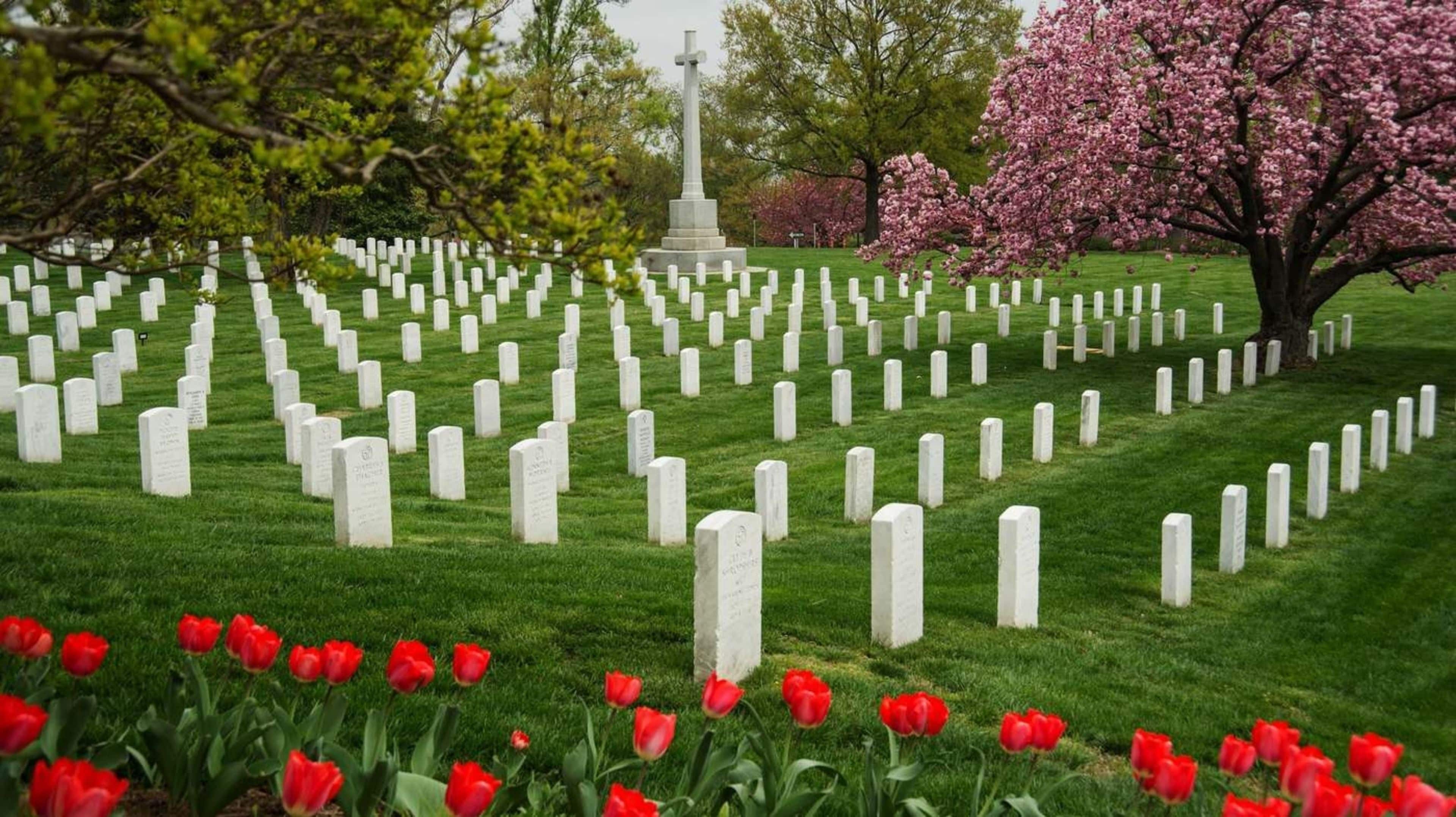 A cemetery with white headstones and a central monument.