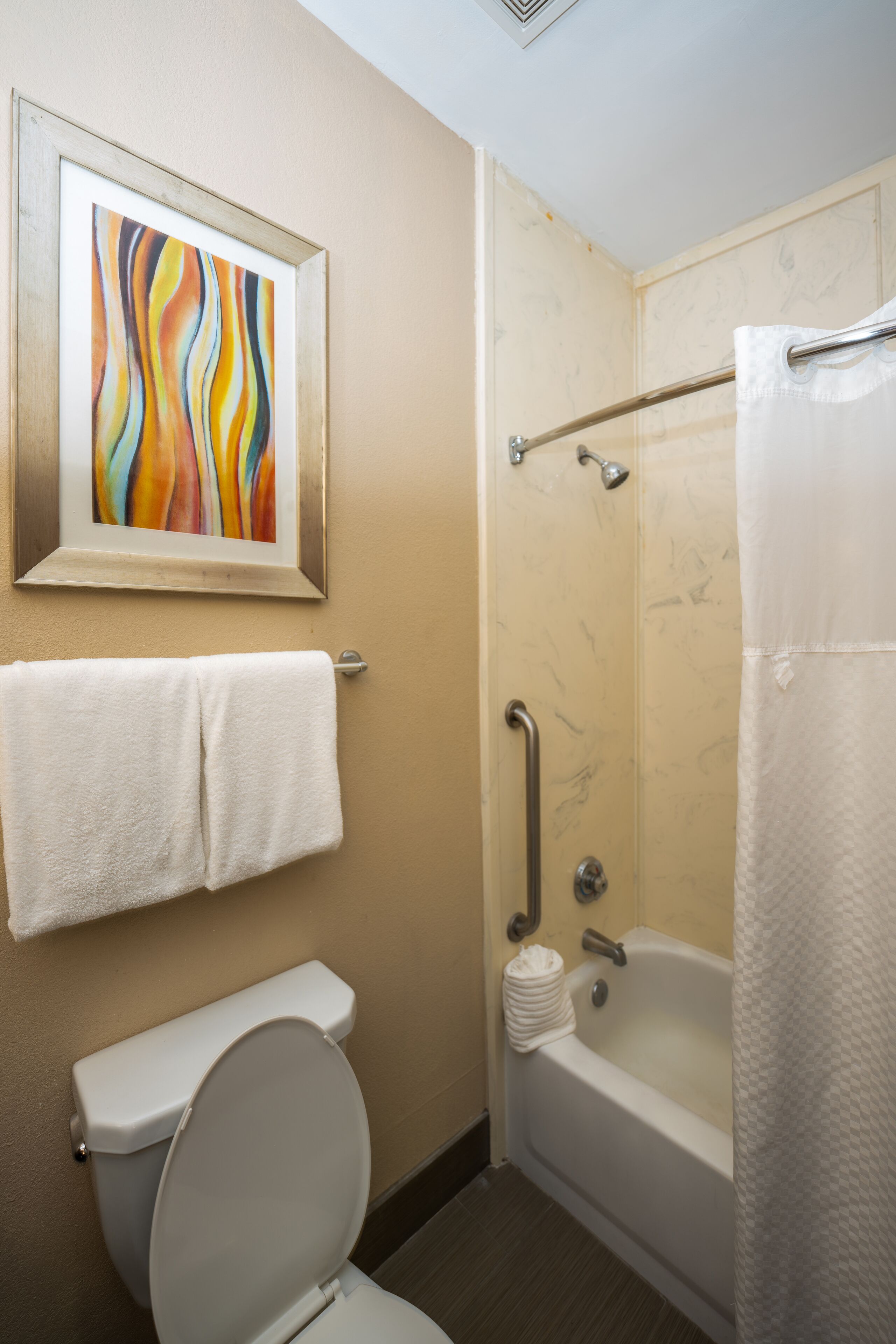 Een badkamer met toilet, een douche met een handgreep, een badkuip en een abstract schilderij in een lijst aan de muur.