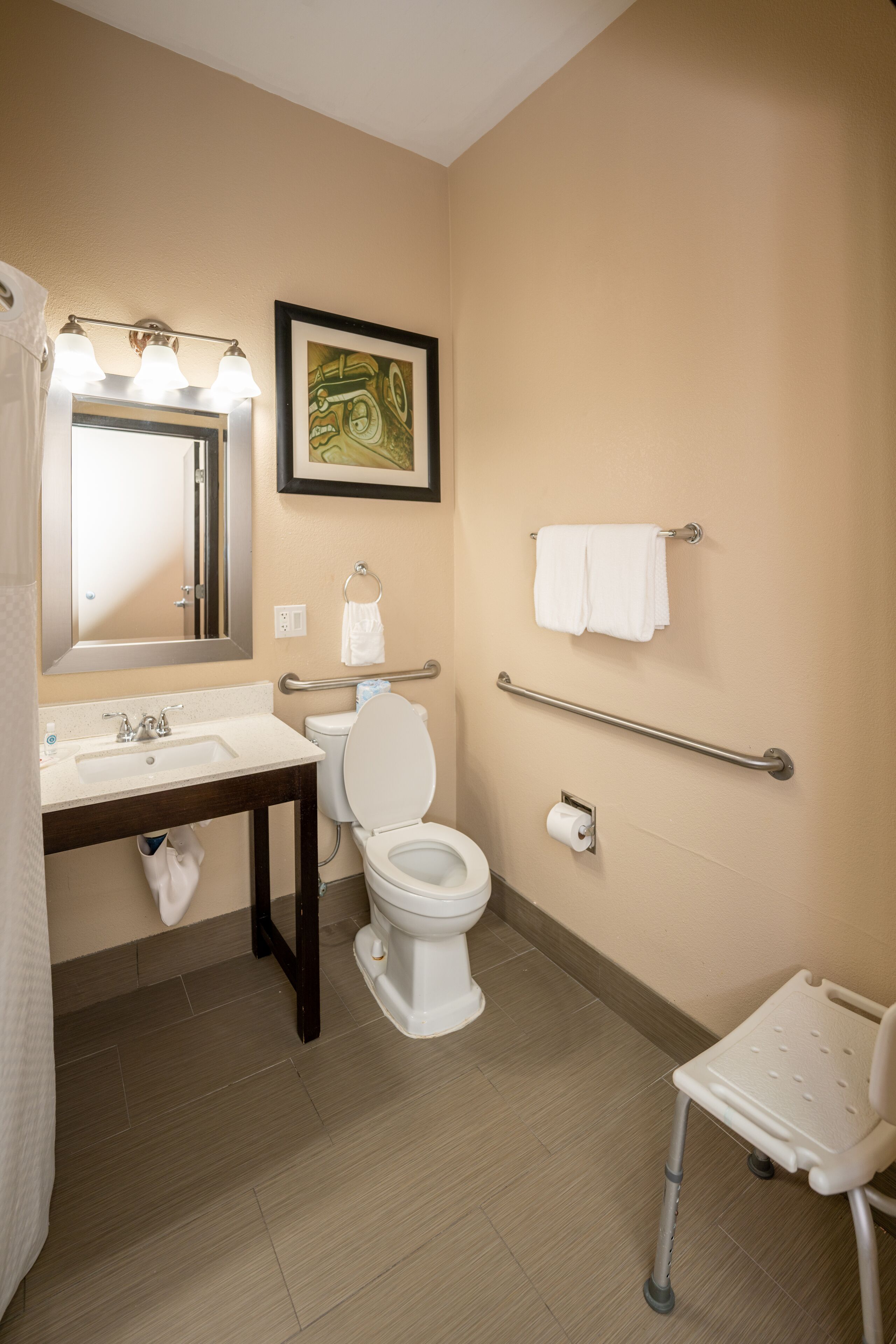 Une salle de bain équipée d’un lavabo, de toilettes et de barres d’appui.