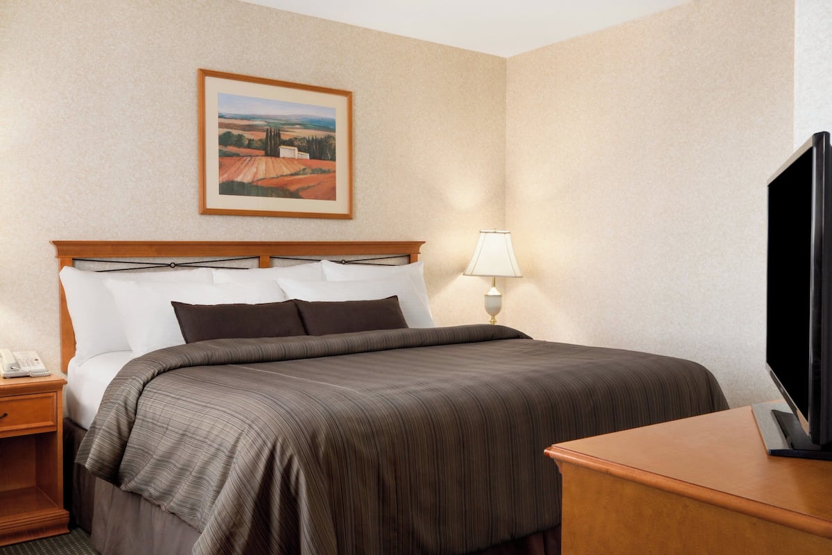 Una habitación de hotel con una cama, una mesita de noche con lámpara, un televisor y un cuadro en la pared.