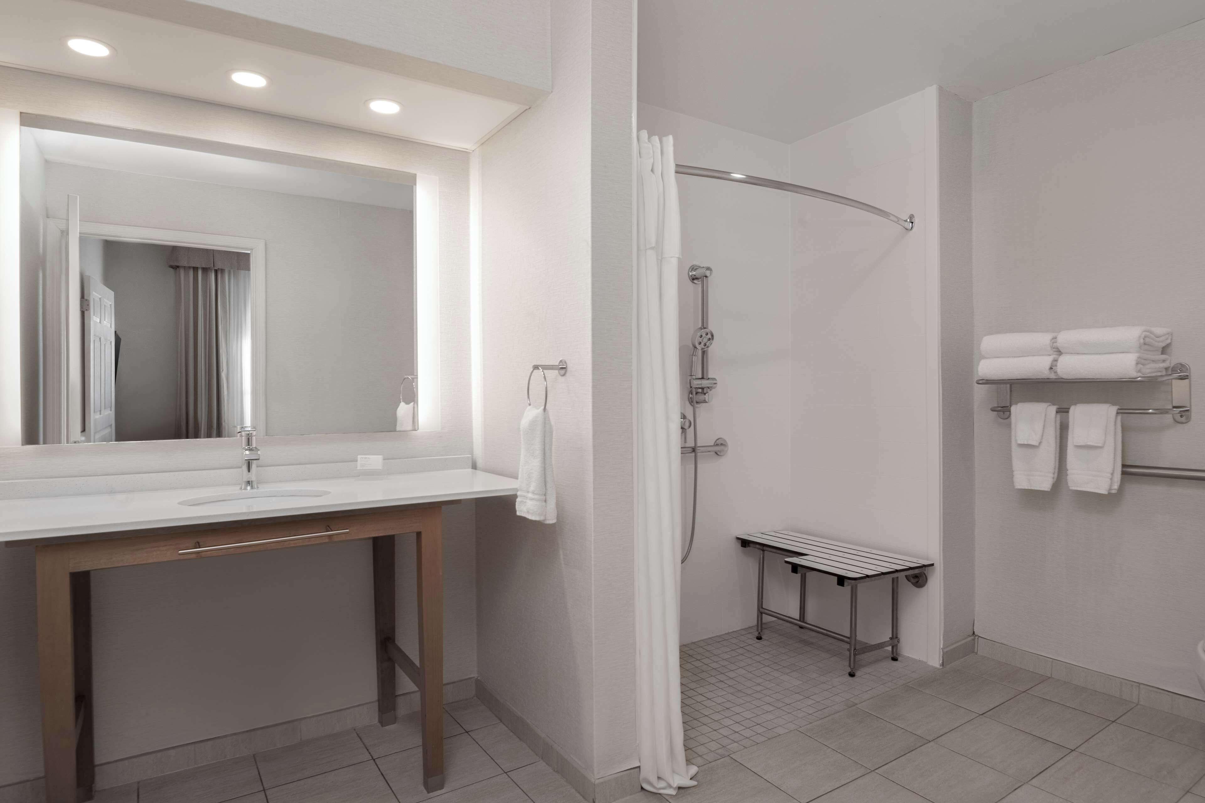 room, 1 queen bed, accessible (roll-in shower) | bathroom shower