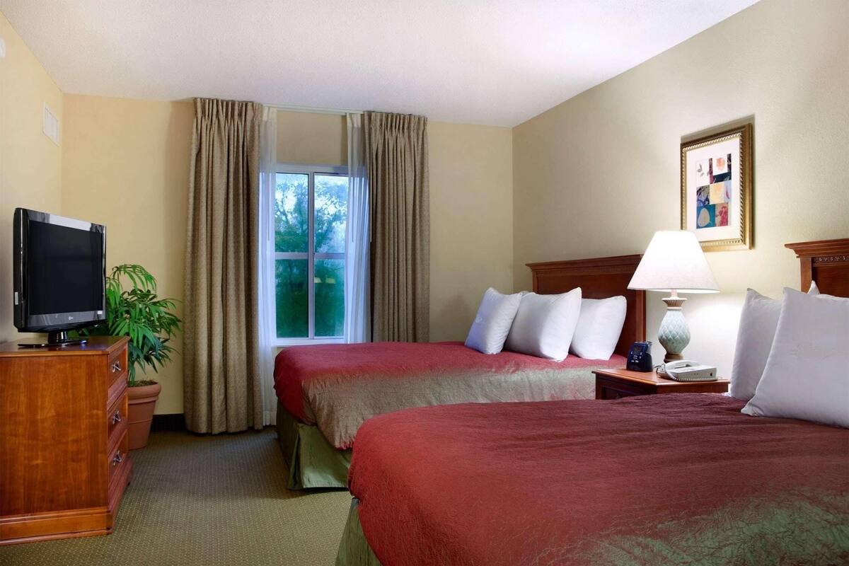 Een hotelkamer met twee bedden, een televisie, een lamp, een plant en een raam met gordijnen.