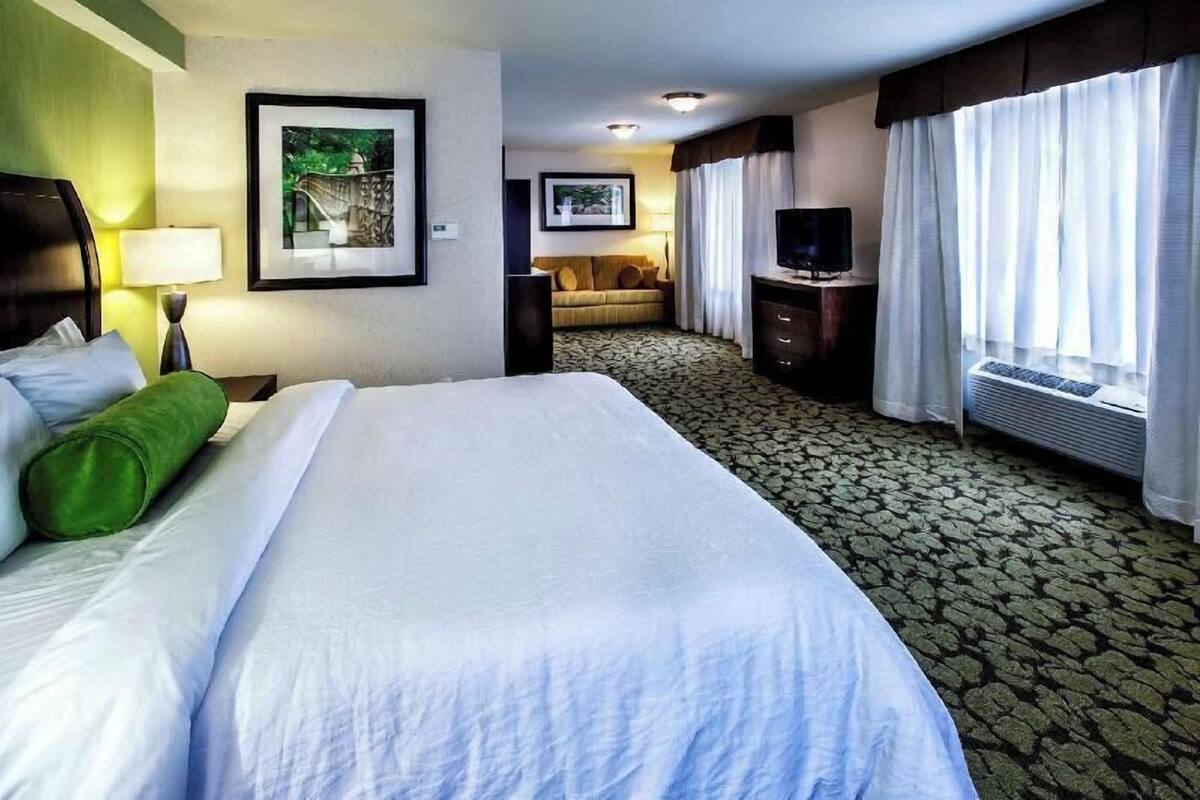 Una habitación de hotel con una cama grande, un sofá, un televisor y una ventana con cortinas.