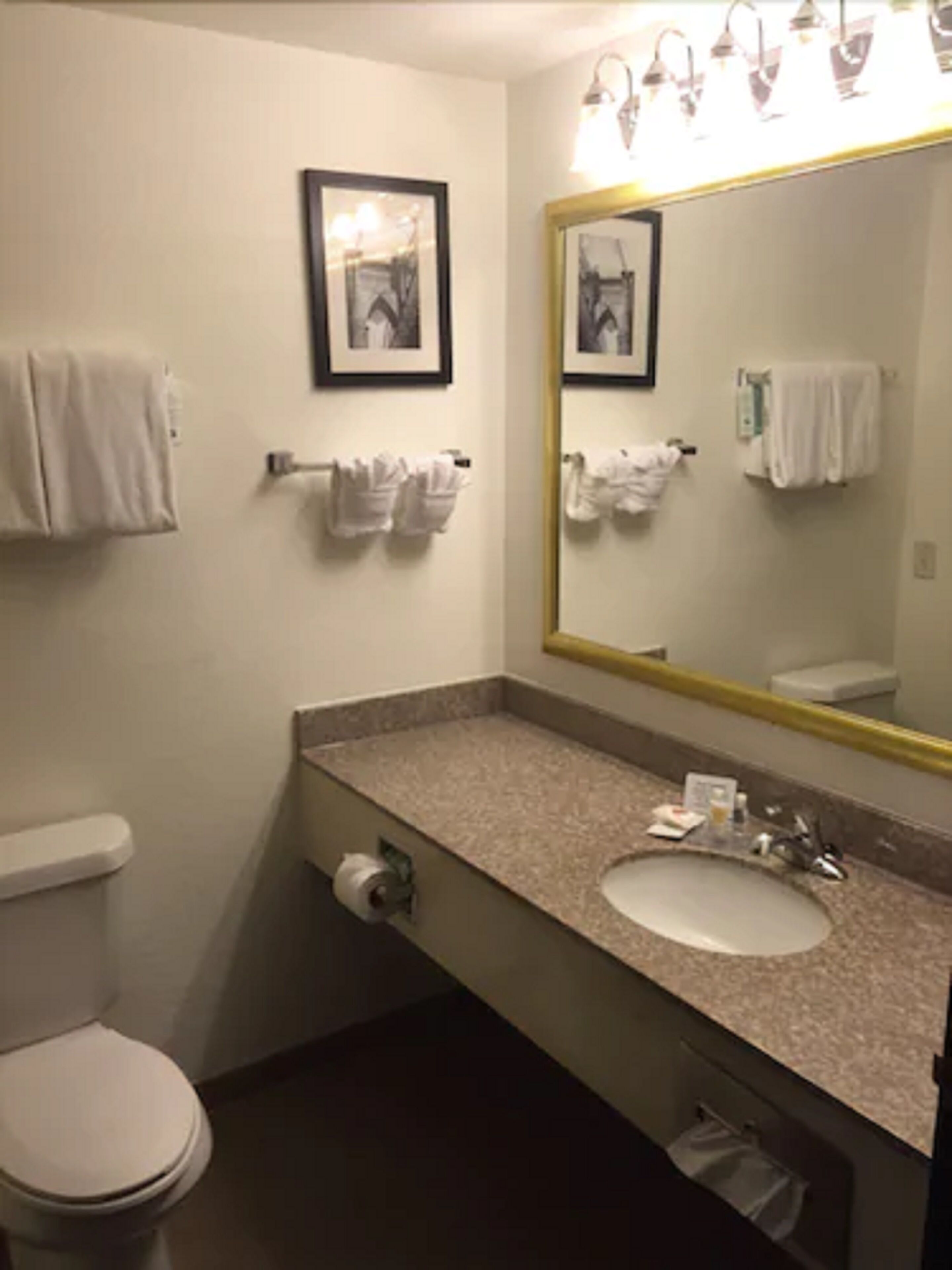 combined shower/bathtub, free toiletries, hair dryer, towels