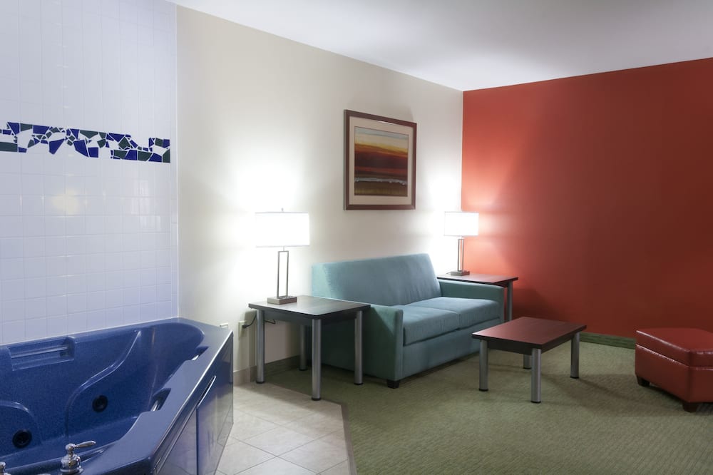 Holiday Inn Express Hotel & Suites Brownsville by IHG