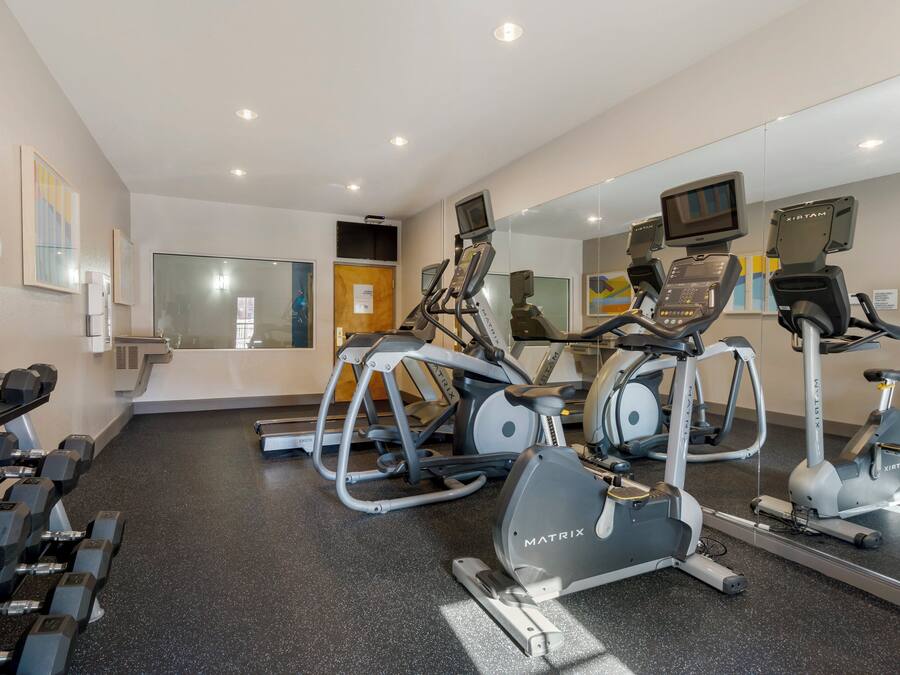 A gym with treadmills, elliptical machines, and dumbbells.