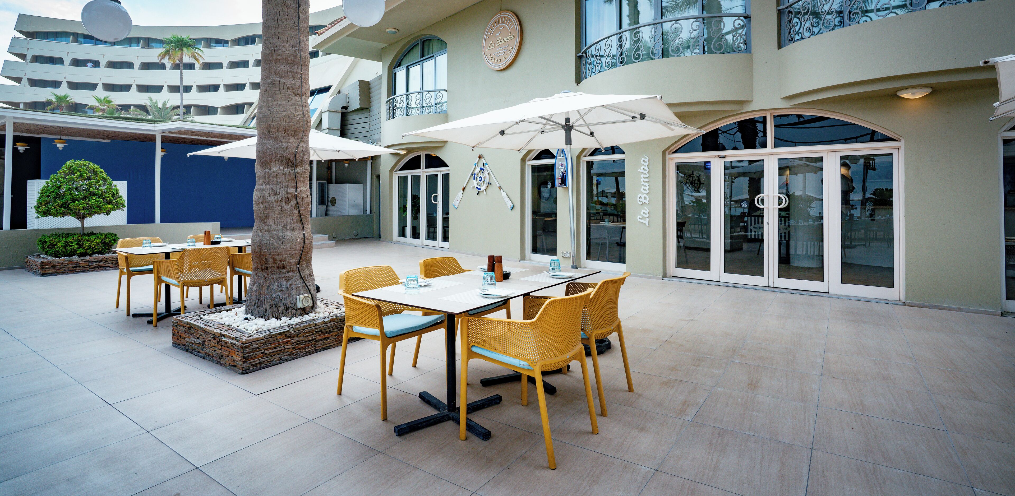 An outdoor dining area with tables and chairs, a palm tree, and a building with large windows and a balcony.