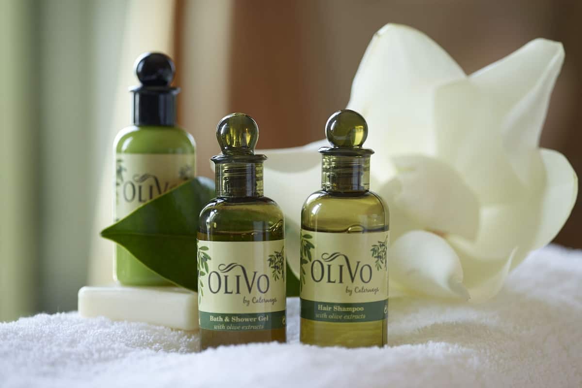 presidential suite | room amenity