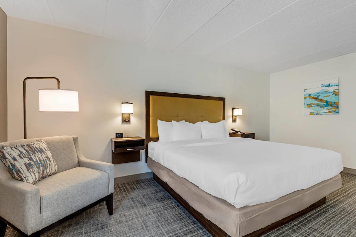 Standard Room, 1 King Bed, Non Smoking | Hypo-allergenic bedding, desk, blackout drapes, iron/ironing board