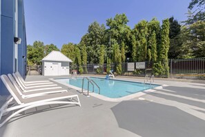 Piscine extérieure en saison, parasols, chaises longues