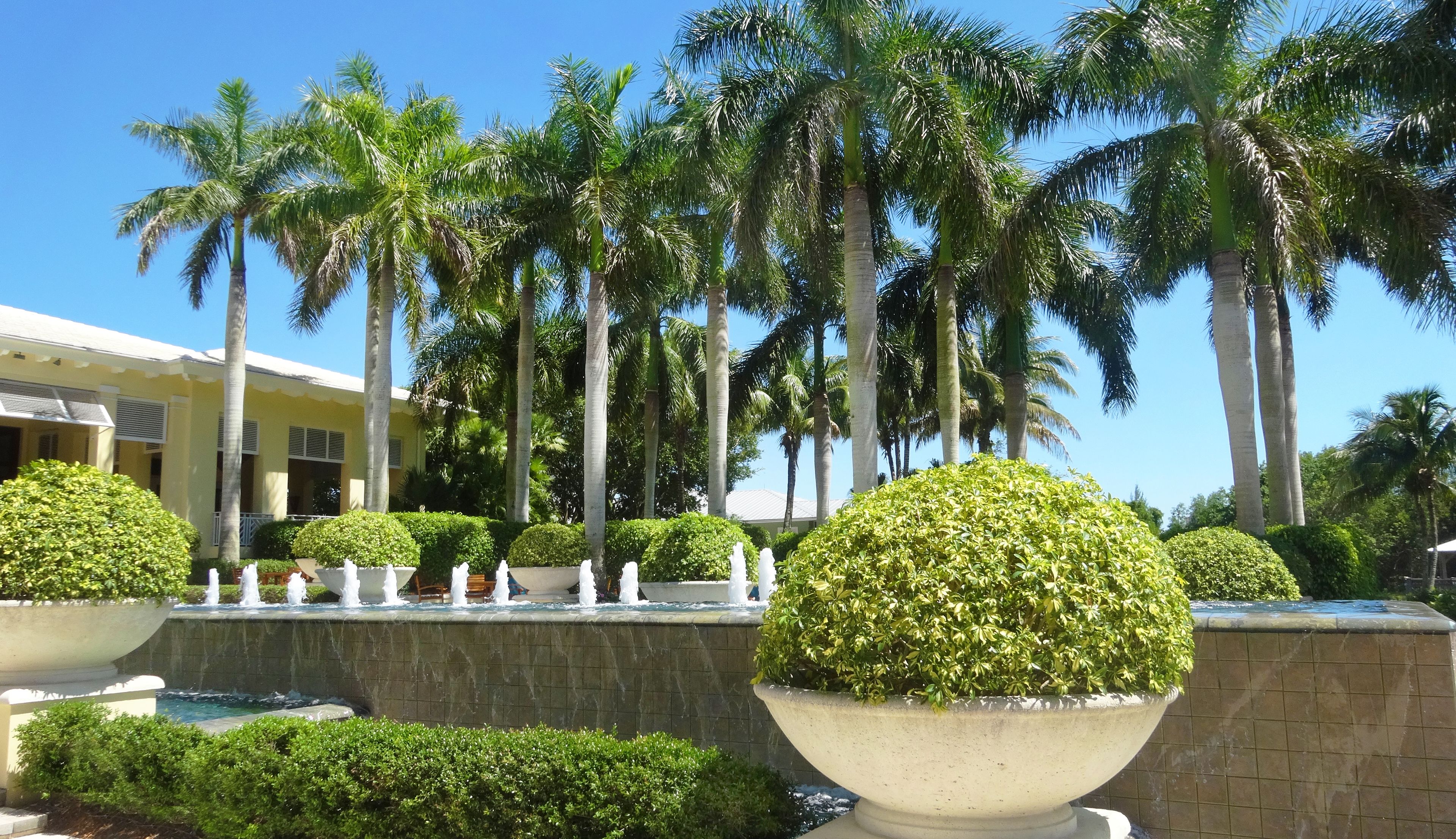 Un resort con palmeras, una fuente y un edificio de fachada amarilla.