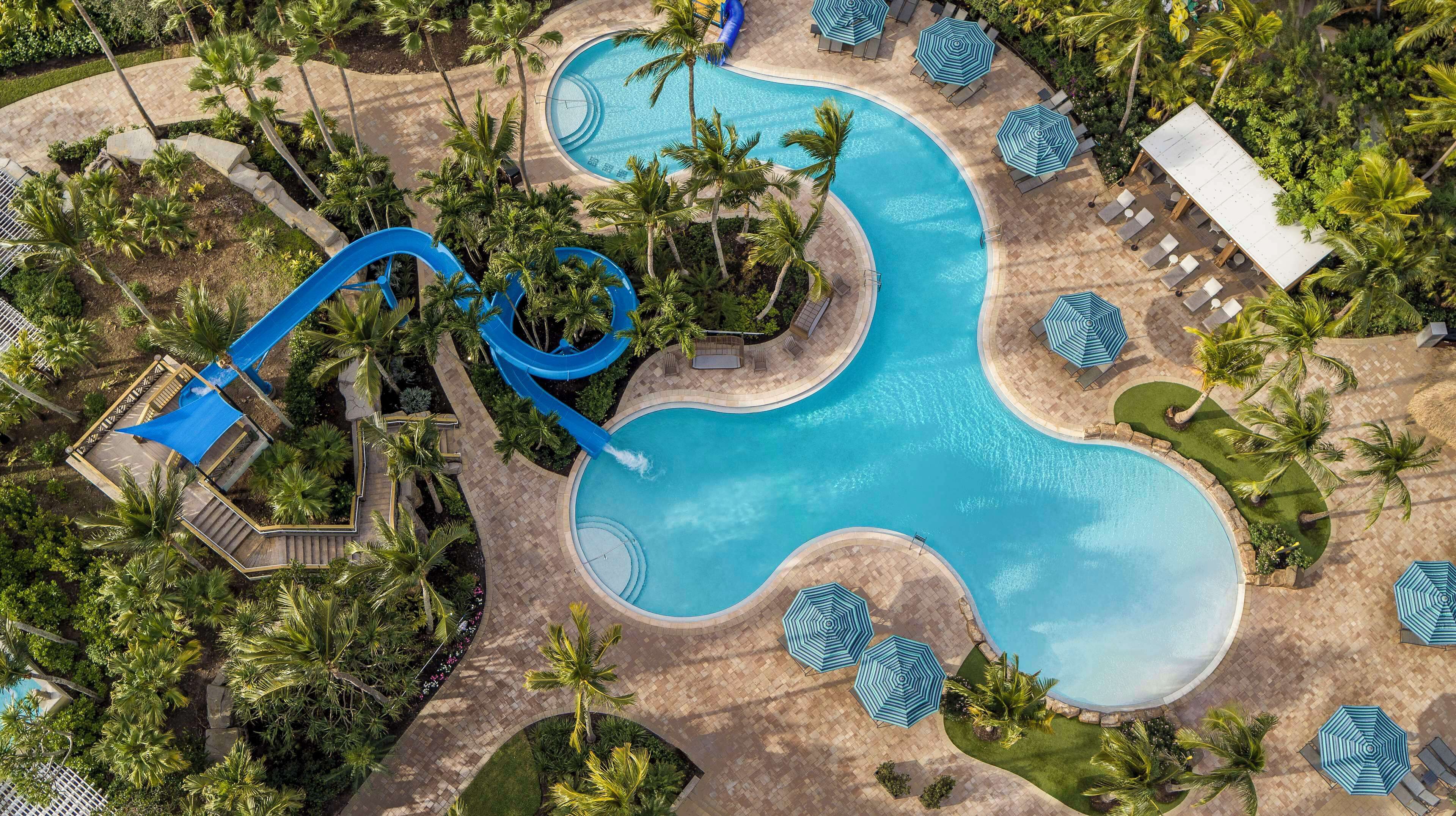 A large pool with a winding design, surrounded by palm trees and lounge areas with umbrellas.