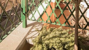 A gated entrance with a green metal fence, a small tree, and a building in the background. - Hotel Donatello (Rome)