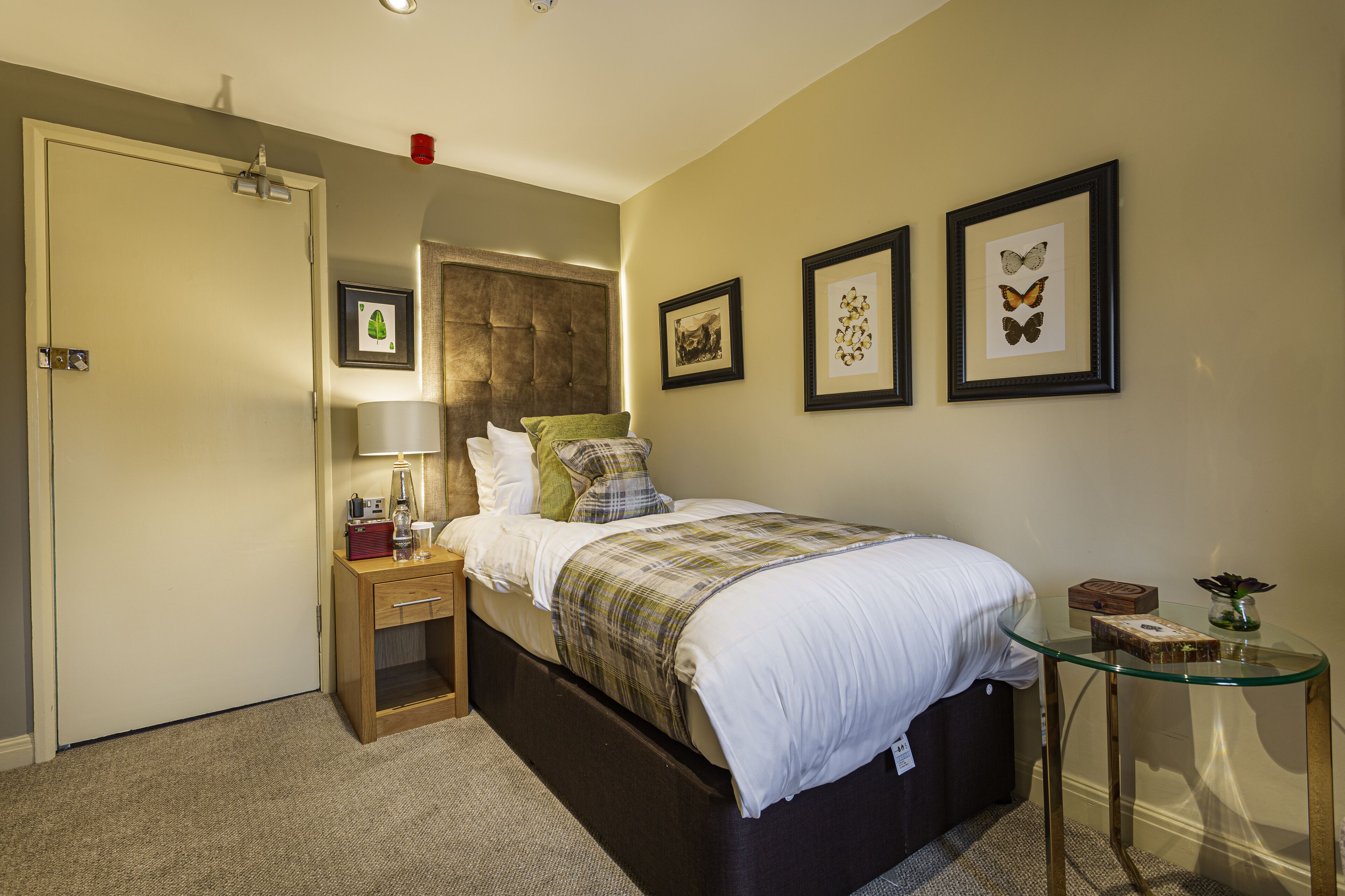 A bedroom with a bed, bedside table, lamp, and framed pictures on the wall.