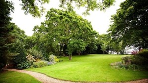 A well-maintained garden with a curved pathway, lush green grass, and various trees.