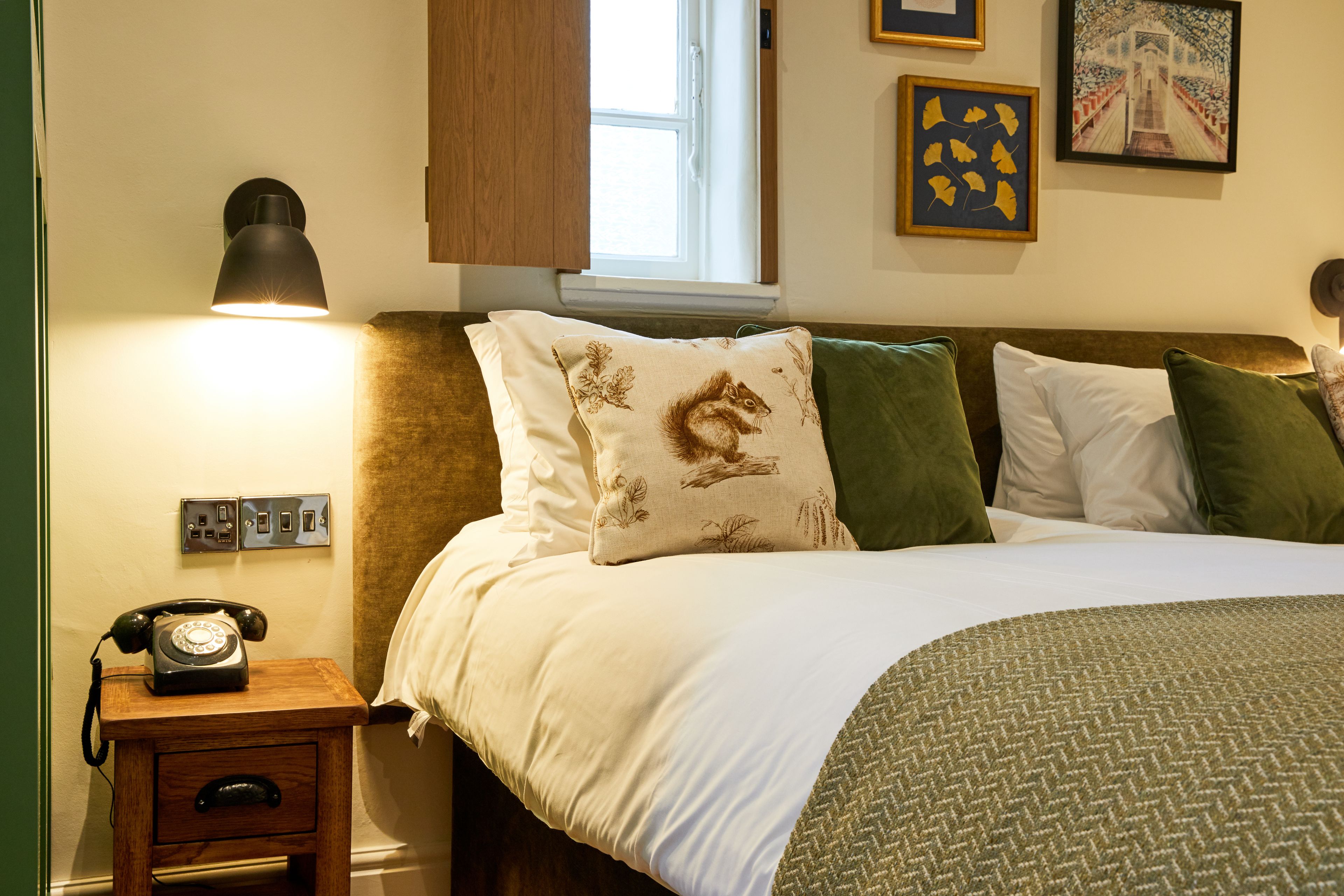 hypo-allergenic bedding, desk, soundproofing, iron/ironing board