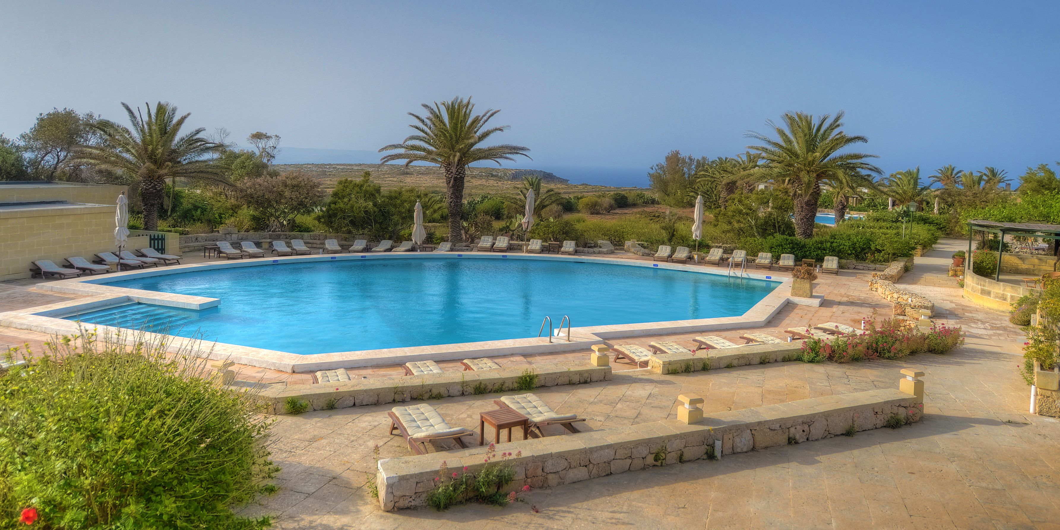 A swimming pool with lounge chairs and palm trees, surrounded by a landscaped garden.