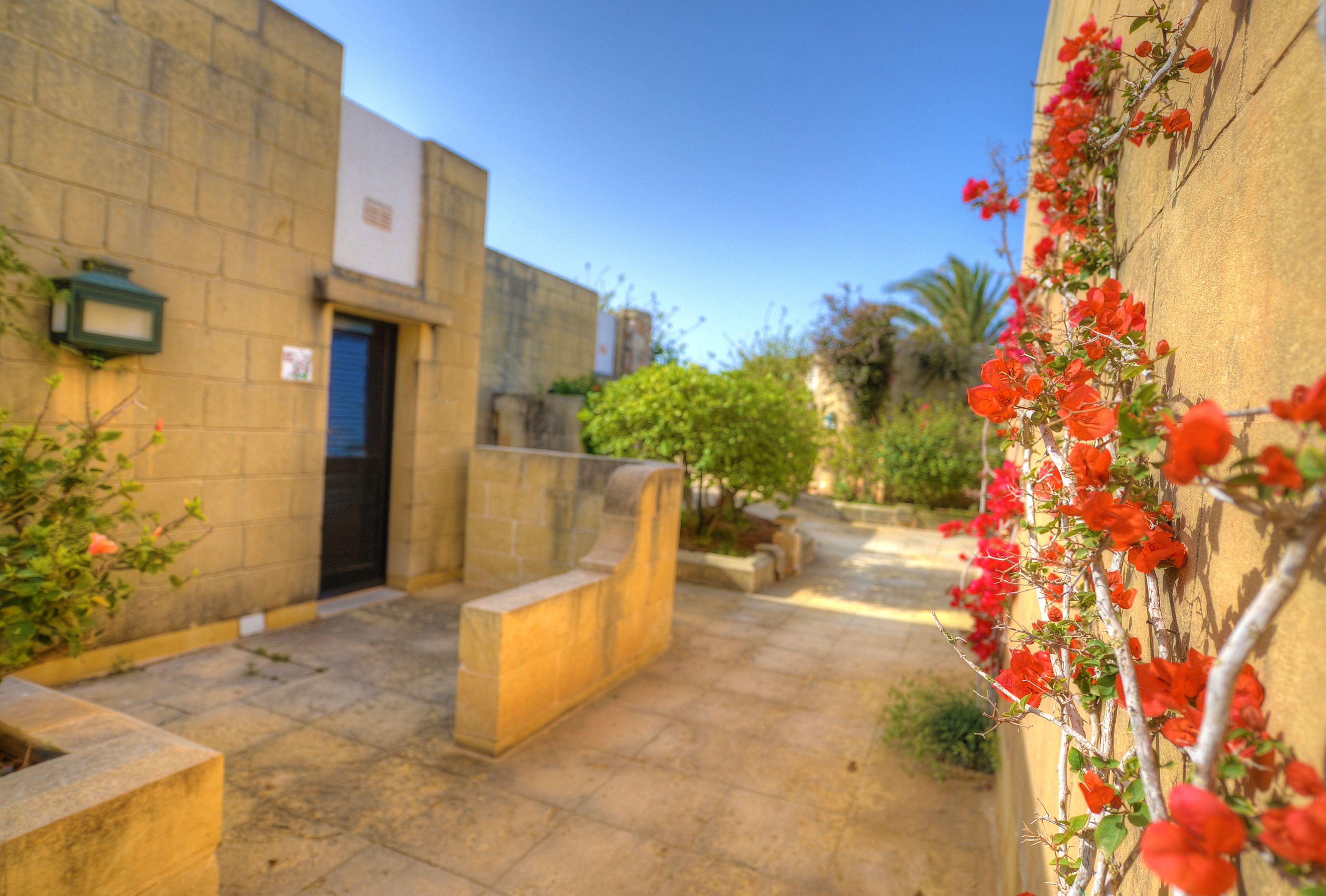 A courtyard with a stone wall, a door, and a row of red flowers along the wall.