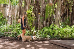 A person walking a dog in a garden with dense foliage and a wooden bench. - Hotel Casa Colonial Cozumel (Cozumel)