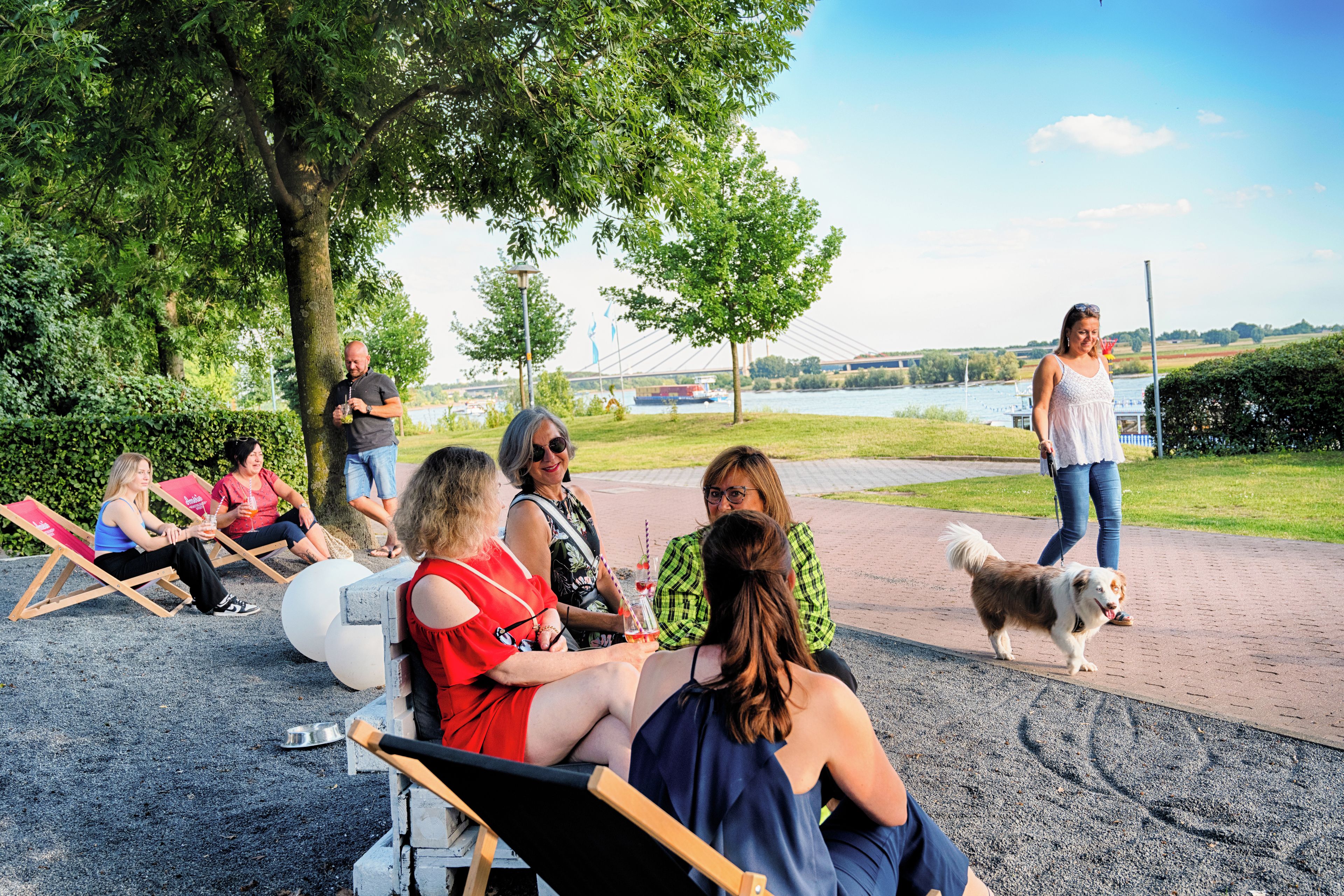 Un grupo de personas sentadas en sillas de jardín y un perro caminando por un sendero.