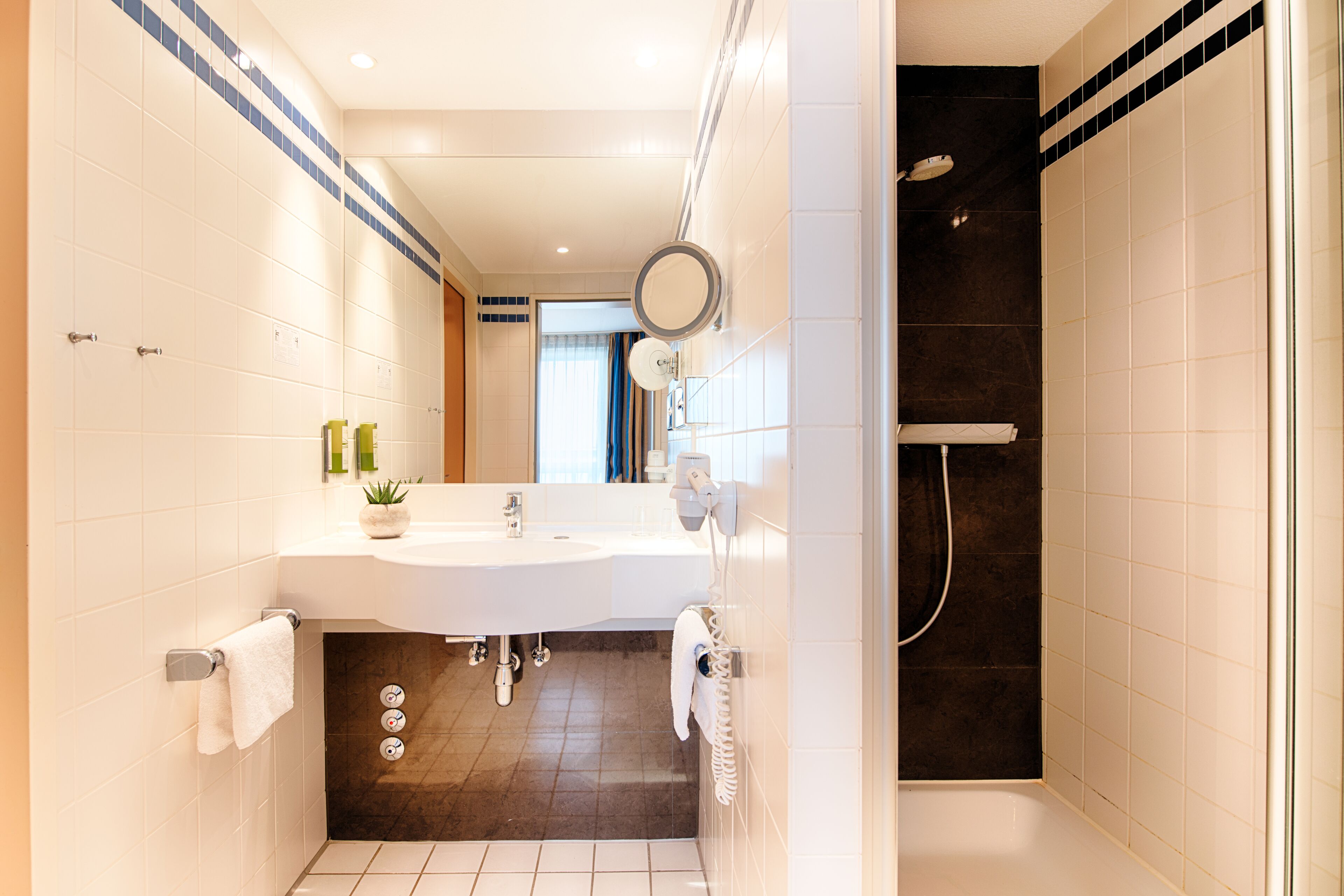 shower, free toiletries, hair dryer, towels