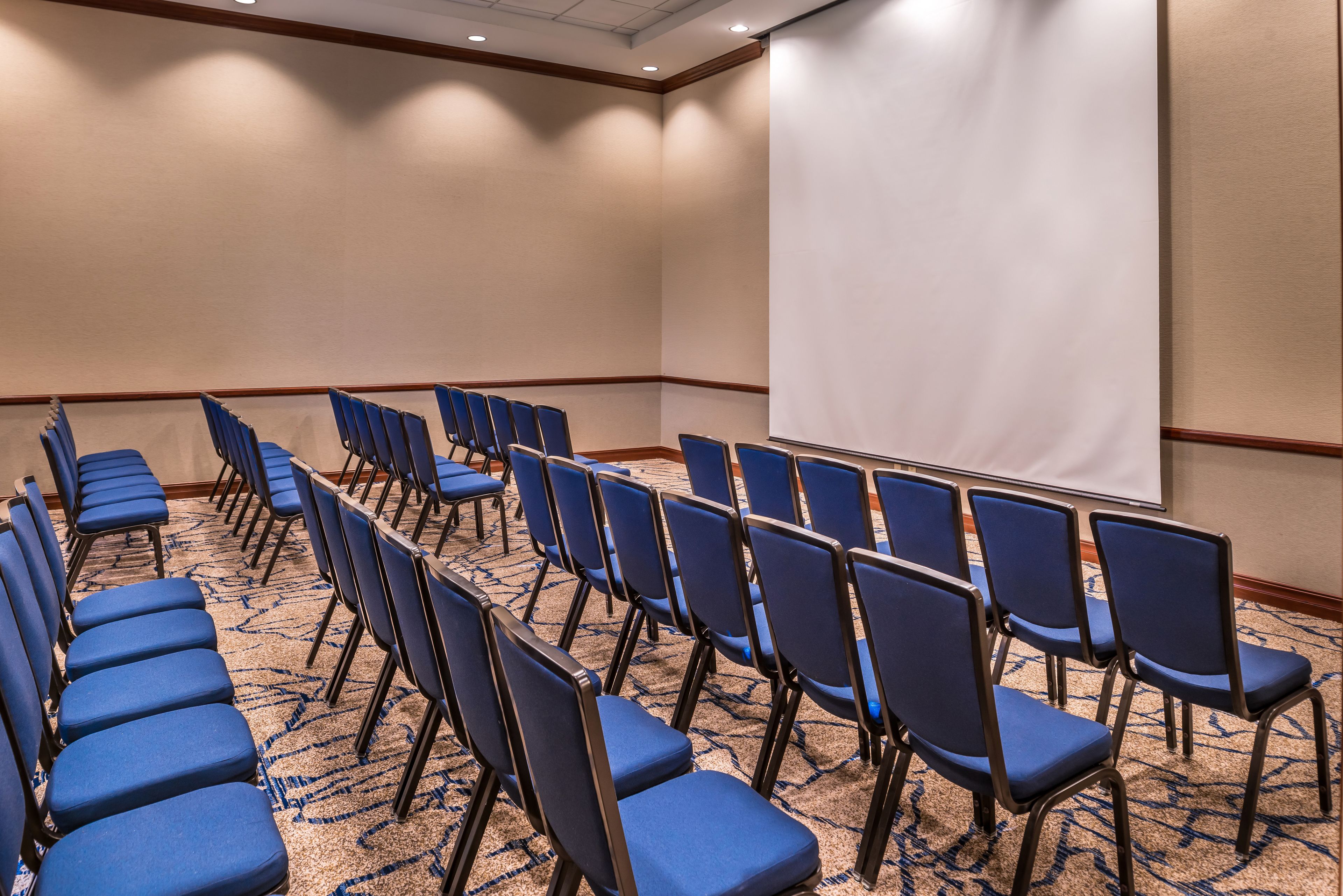 A conference room with rows of blue chairs, a carpeted floor, and a projection screen.