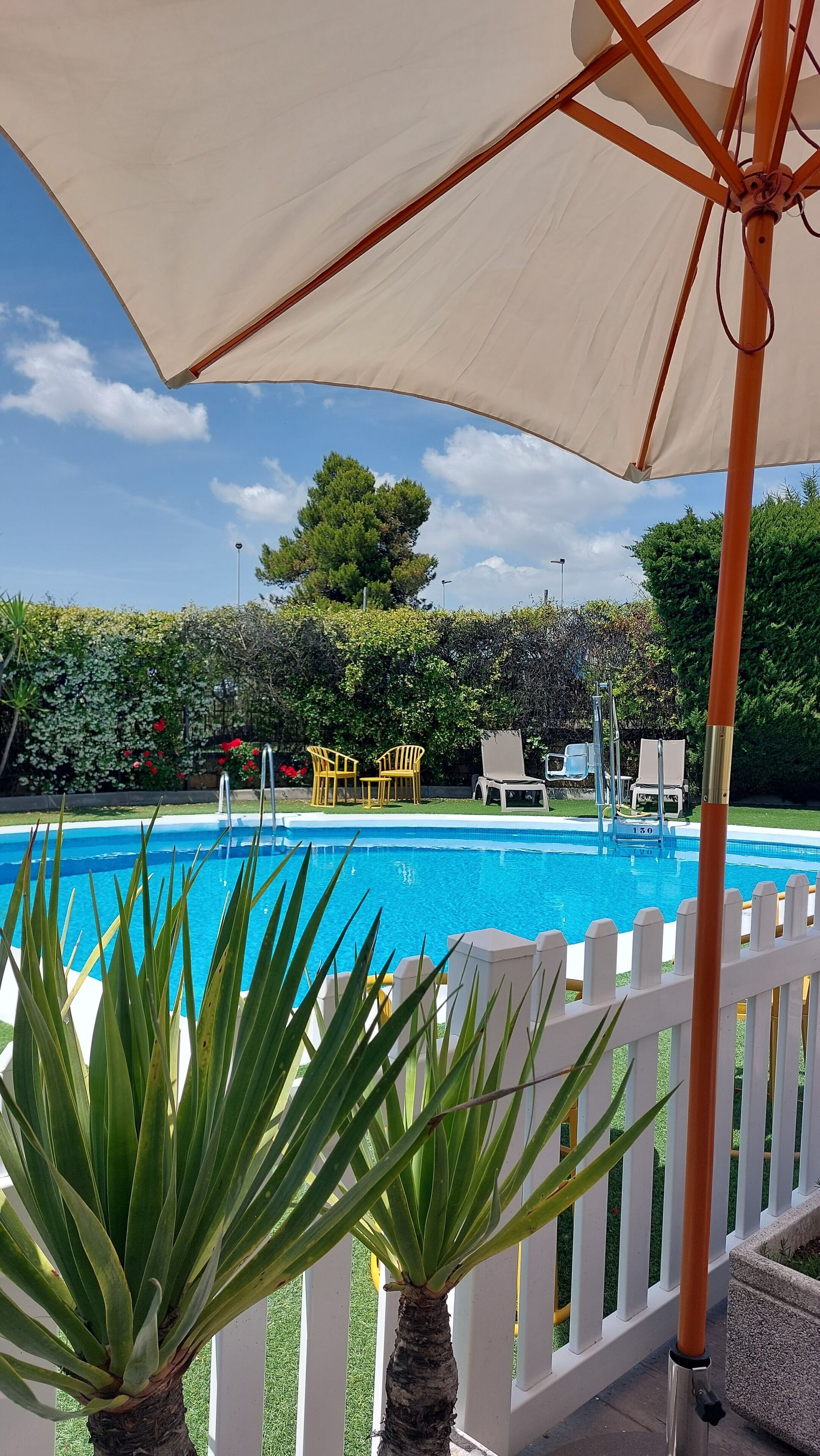 Una piscina al aire libre, sillones reclinables de piscina