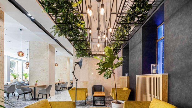 A modern interior with yellow chairs, a wooden table, and a large plant.
