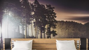 Tomannsrom – superior, 2 enkeltsenger