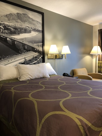 Escritorio, sistema de insonorización, wifi gratis y ropa de cama