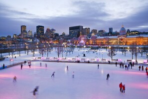 Ice skating