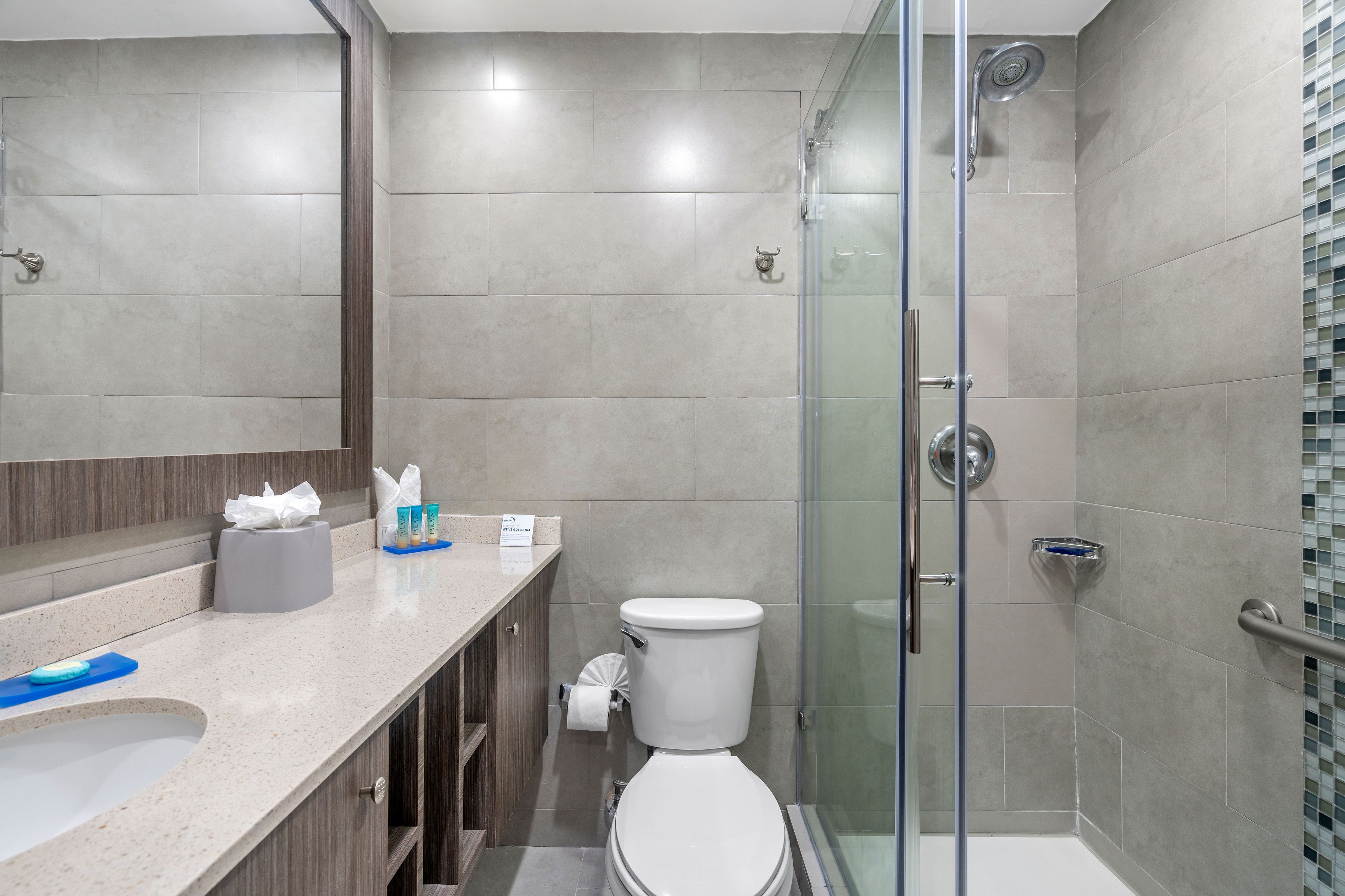 A modern bathroom with a glass shower enclosure, a toilet, and a vanity with a mirror.