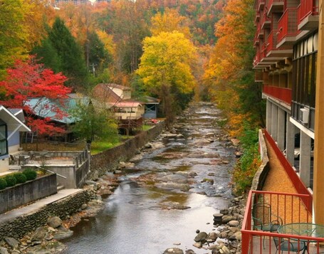 Baymont by Wyndham Gatlinburg On The River - Image 12