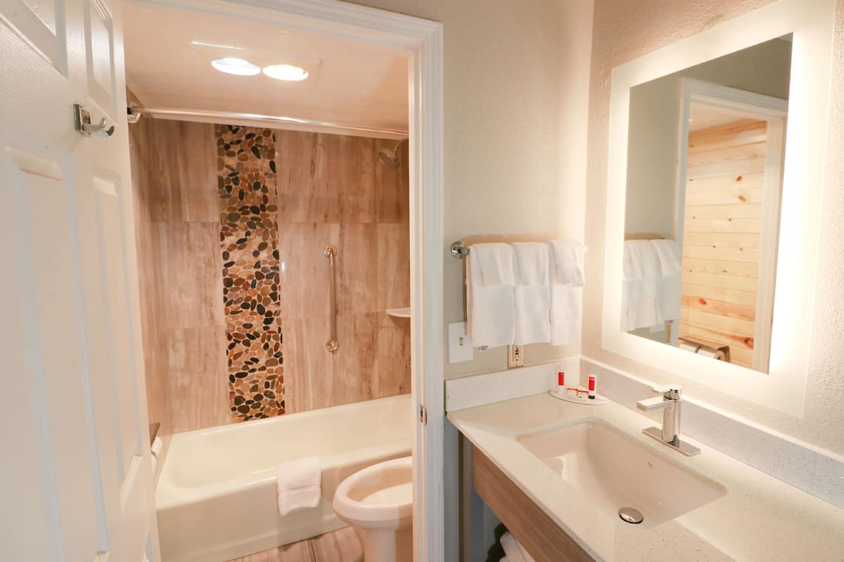 combined shower/bathtub, hair dryer, towels