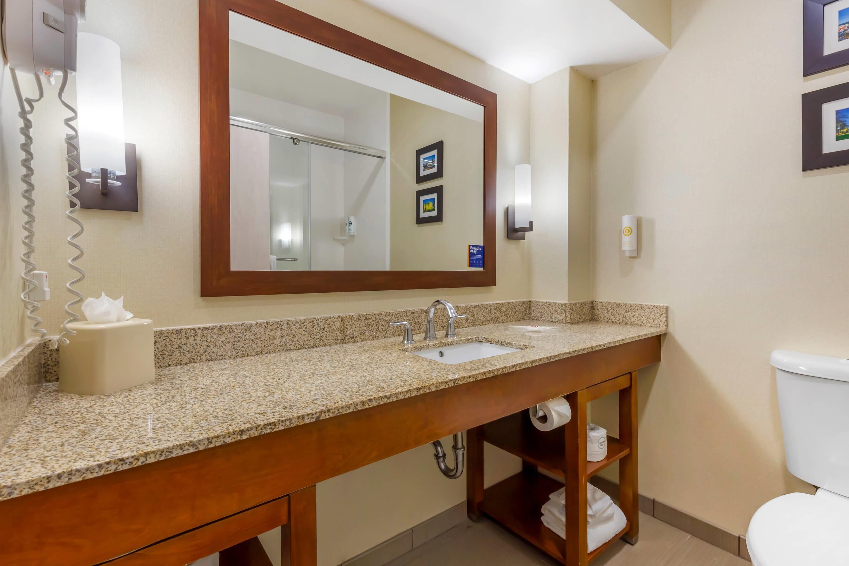 suite, 1 king bed, non smoking | desk, laptop workspace, iron/ironing board, free wifi