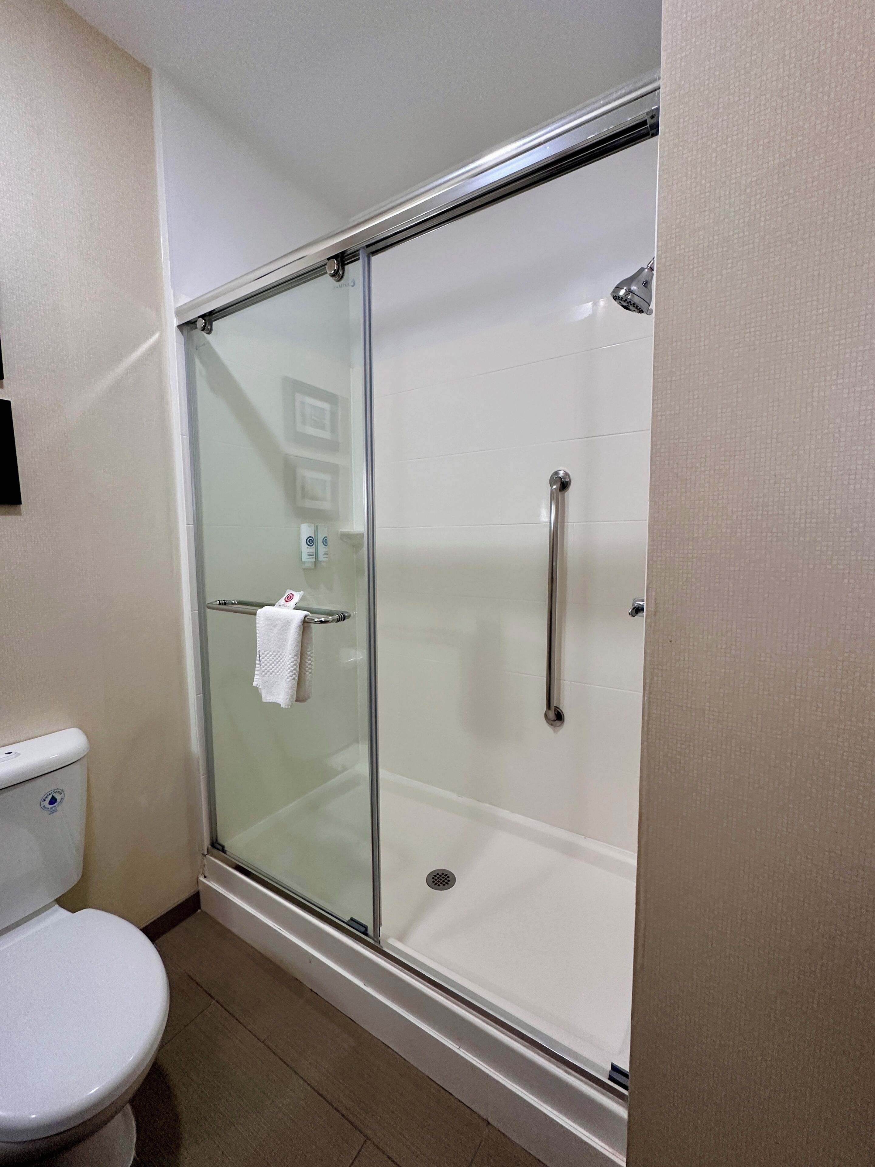 Une cabine de douche fermée par des parois en verre, dotée d’un pommeau de douche à main, de toilettes blanches et d’un porte-serviettes.