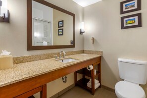 Desk, laptop workspace, iron/ironing board, free WiFi - Comfort Suites Raleigh Walnut Creek (Raleigh)