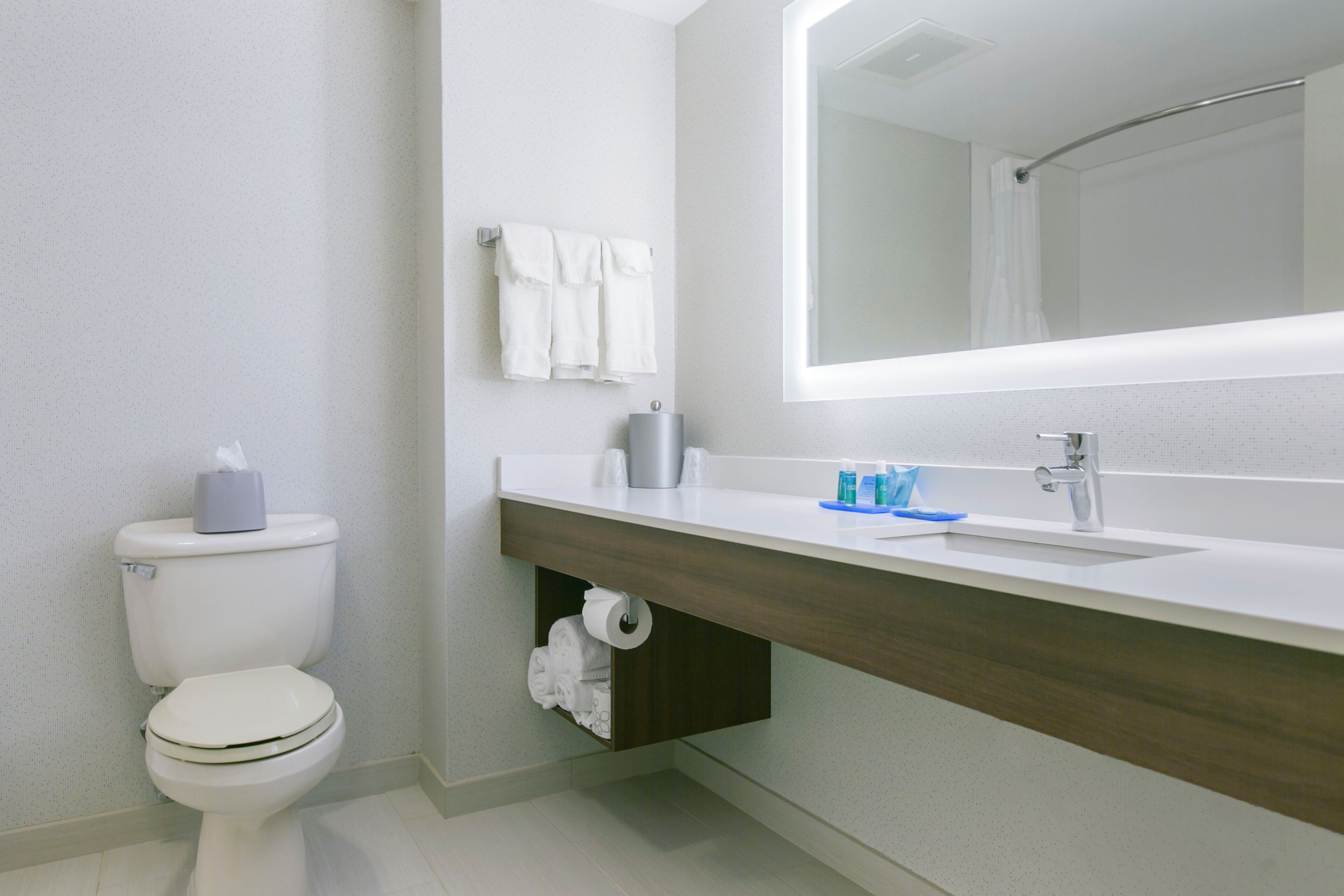 A modern bathroom with a toilet, a sink, and a mirror.