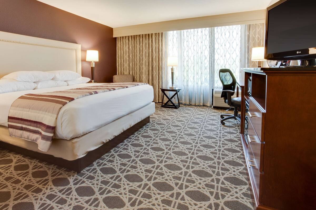 Habitación de hotel con una cama grande, televisión, escritorio con silla y alfombra estampada.