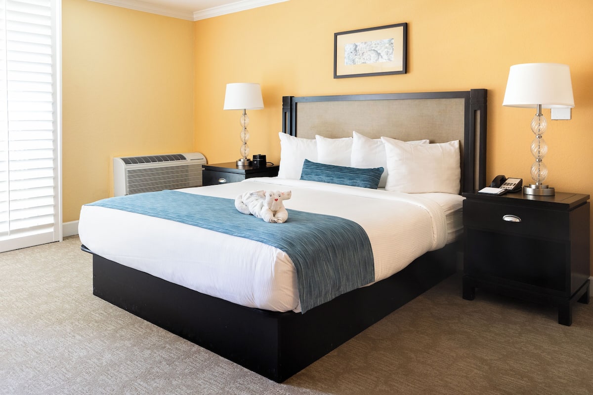 A hotel room with a large bed, two bedside tables, a wall-mounted air conditioner, and a framed picture above the bed.