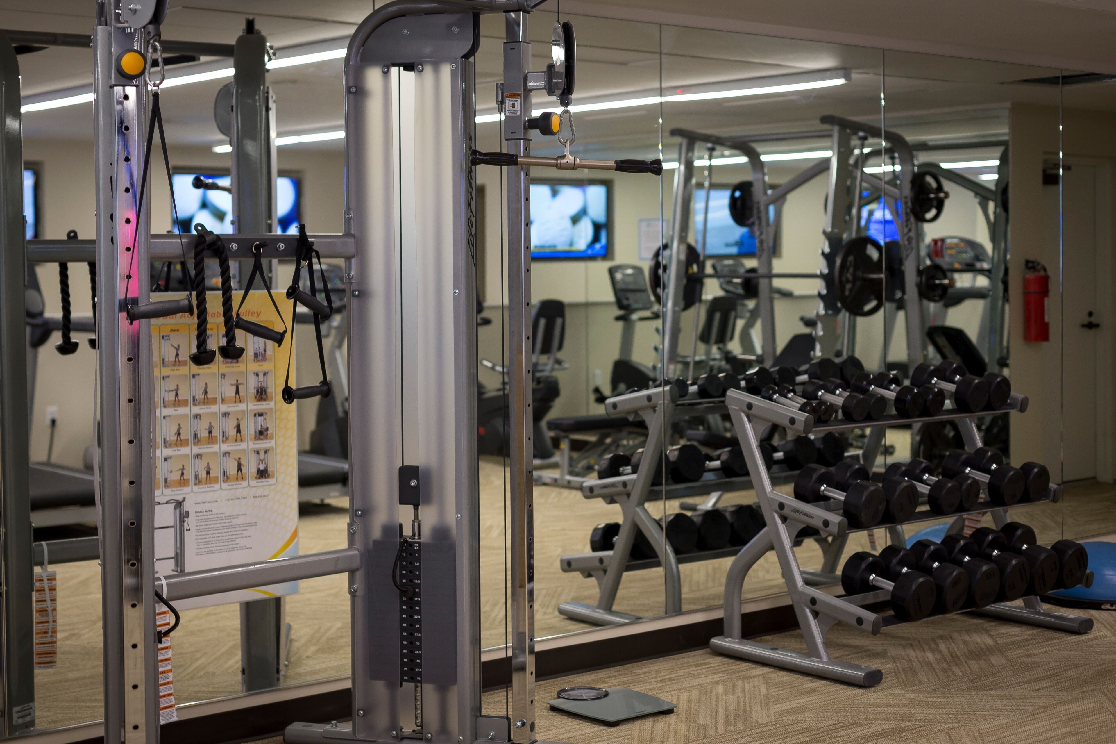 A gym with exercise equipment, mirrors, and a rack of dumbbells.