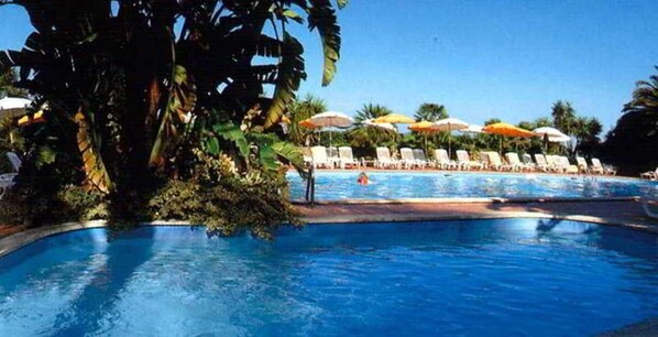 Seasonal outdoor pool, pool umbrellas, sun loungers