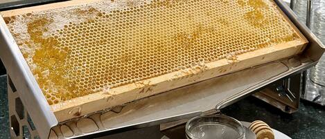 A honeycomb frame on a stand with a honey dipper and a plate nearby.