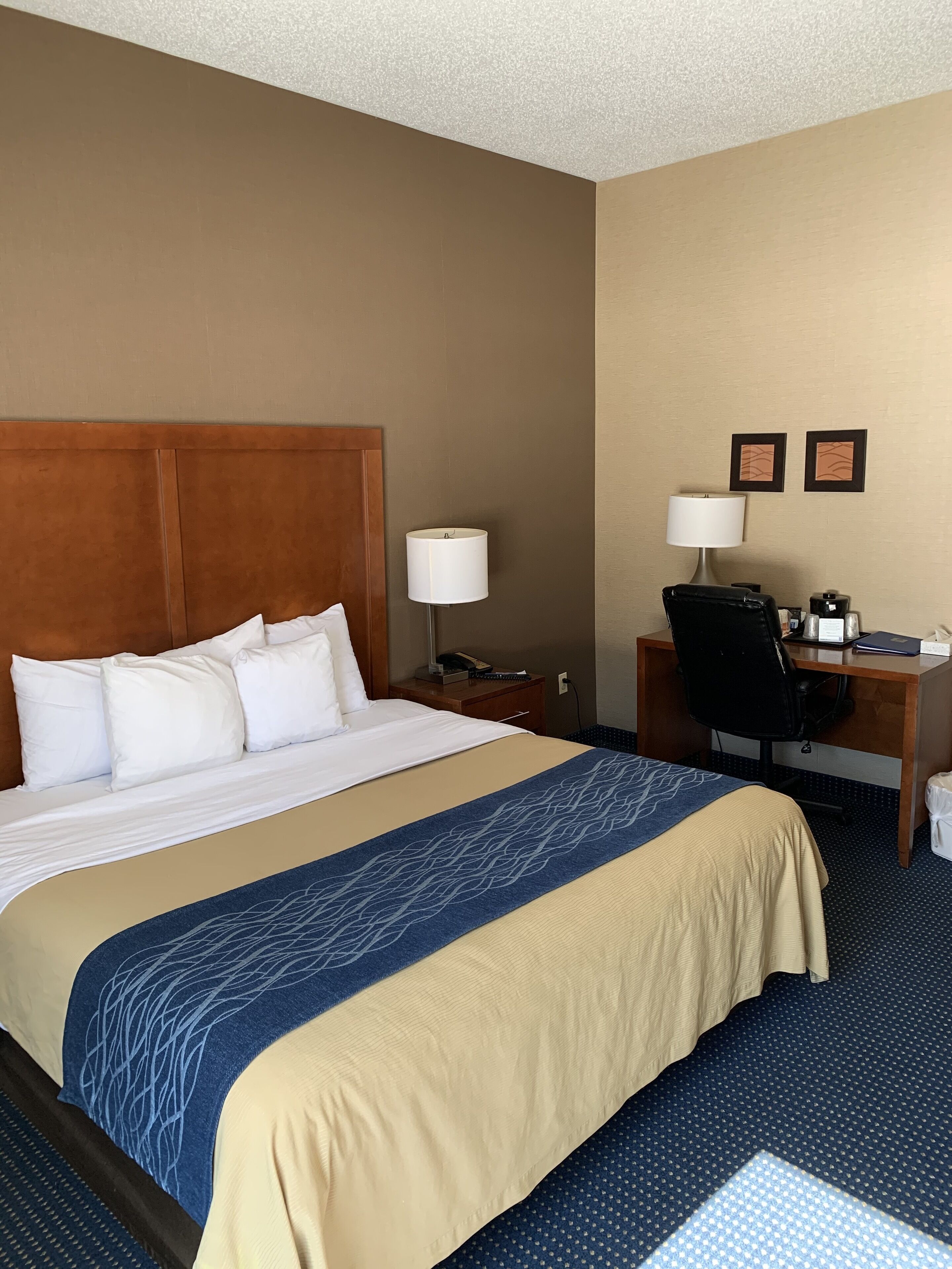 Habitación de hotel con una cama grande, dos mesitas de noche, un escritorio con una silla y dos lámparas de pared.