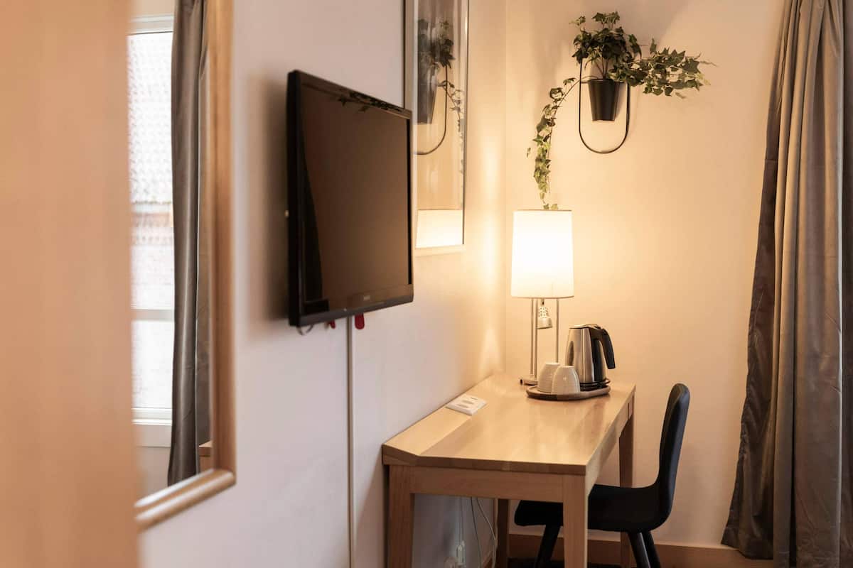A hotel room with a desk, chair, television, lamp, and potted plants.