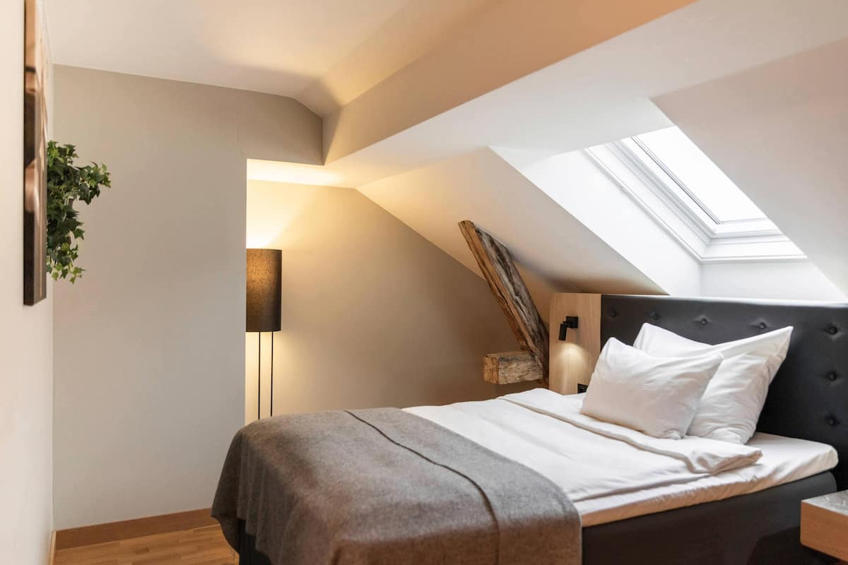 A bedroom with a bed, a bedside lamp, a plant, and a skylight.