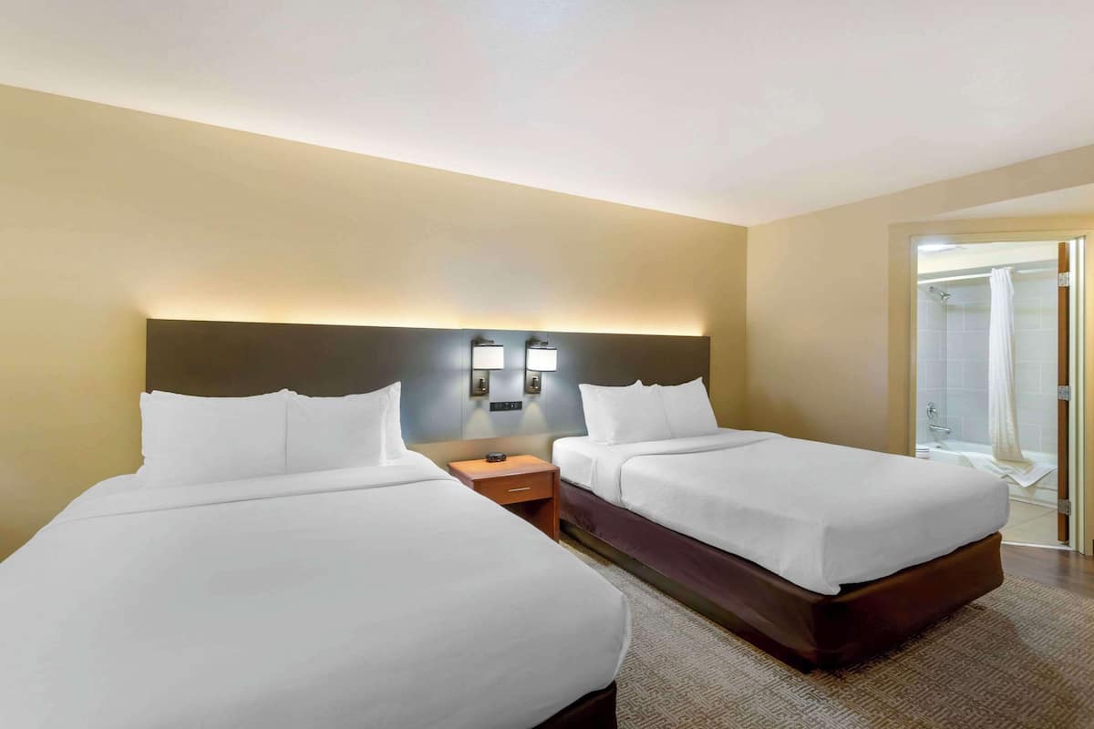 Une chambre d’hôtel avec deux lits, une table de chevet, un luminaire fixé au mur et un espace douche.